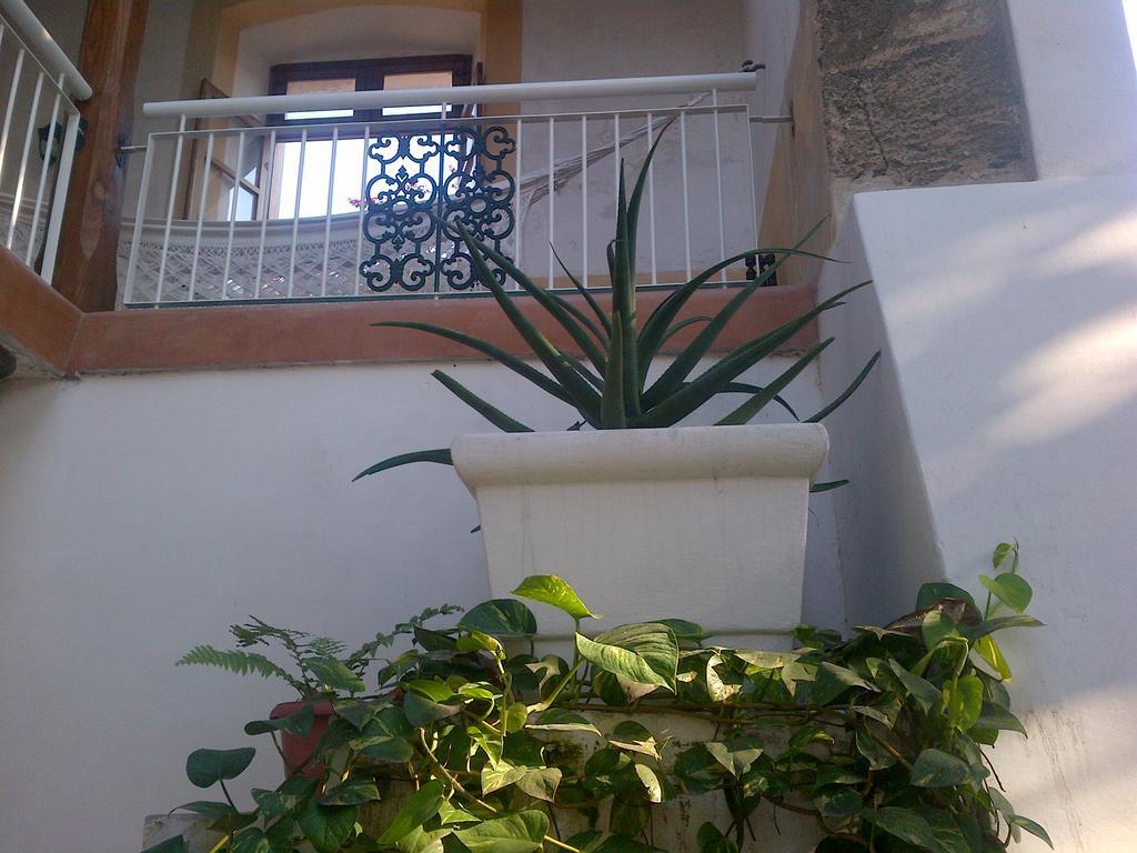 Jardim Dos Aloes, Unique B&B - Casa De Charme 莫桑比克岛 外观 照片